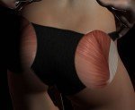 Zone 5 Gluteal Zone
